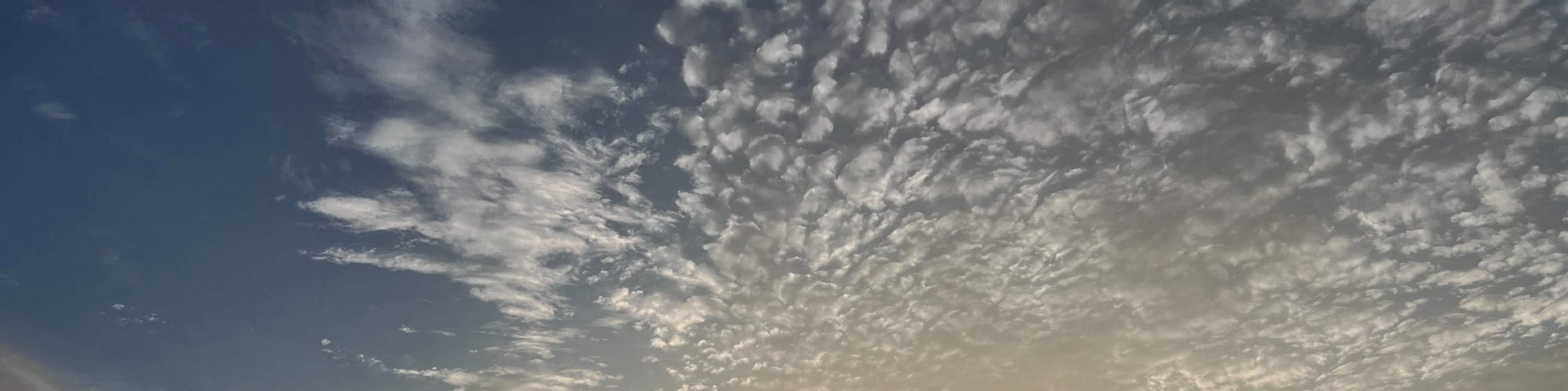 Yilan | Toucheng Leisure Farm & Waiao Beach | Pengalaman SUP, Kayak, & Snorkeling